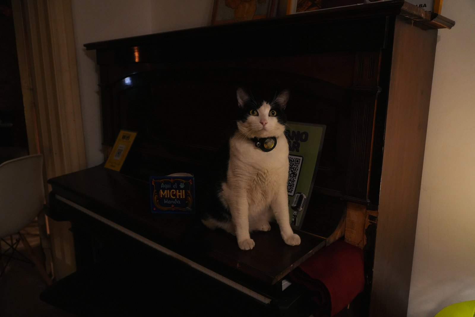 Piano